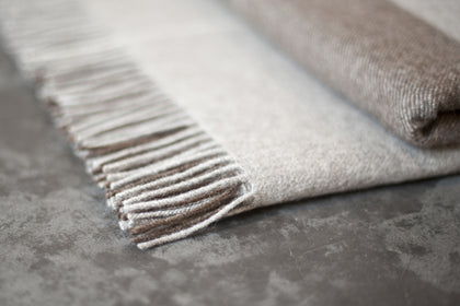 Homadic, catalog